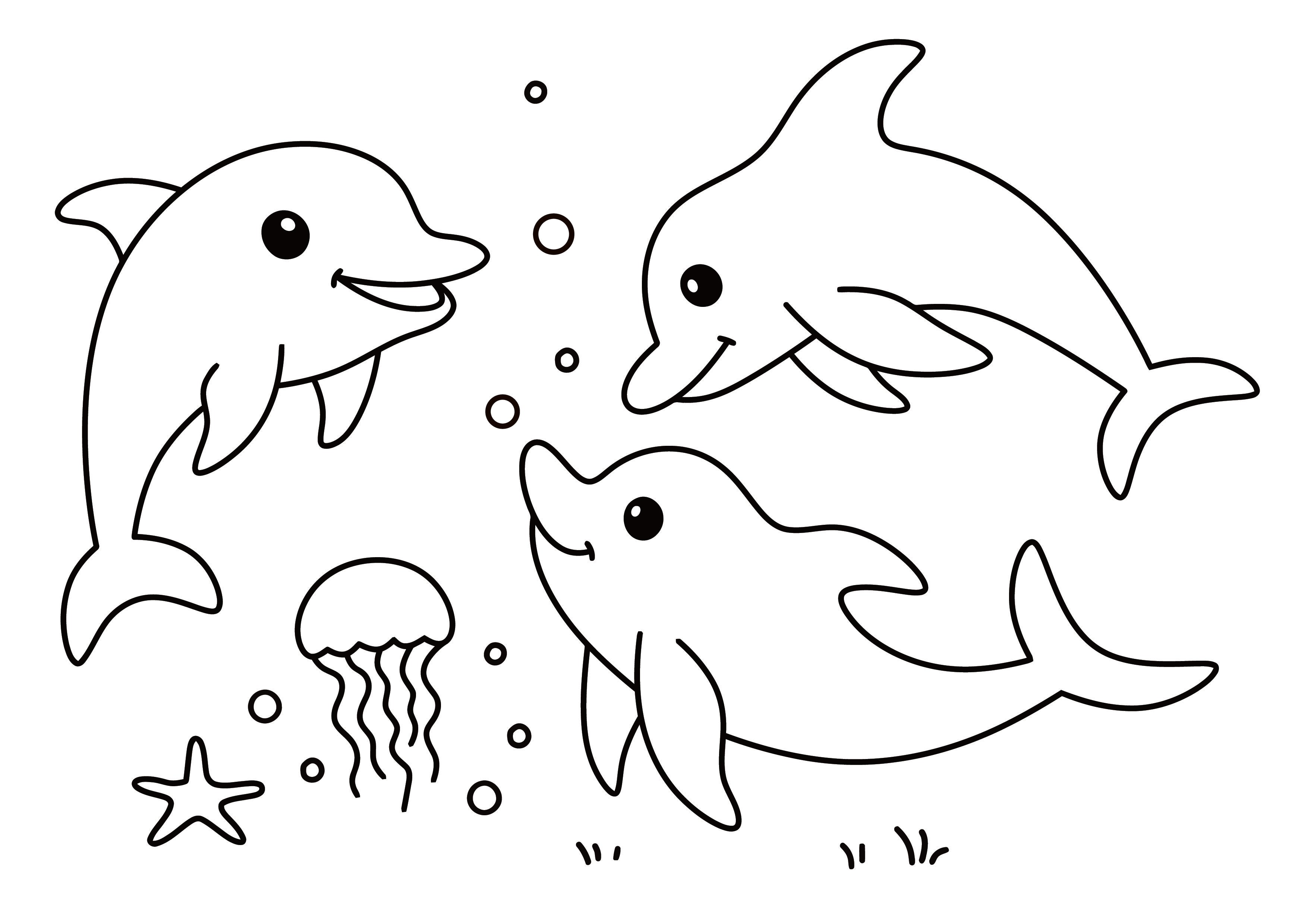 Ocean Friends