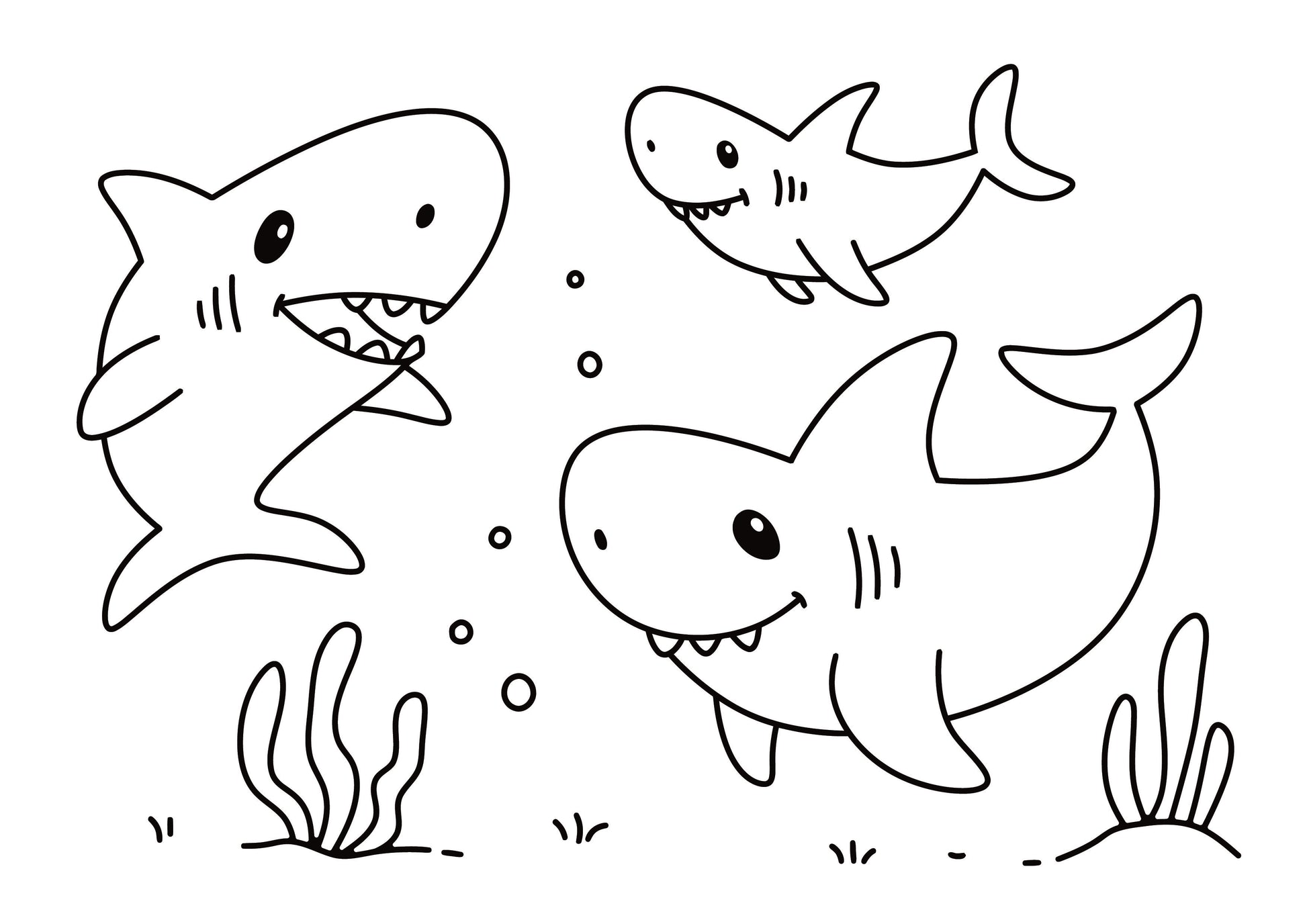 Baby Shark