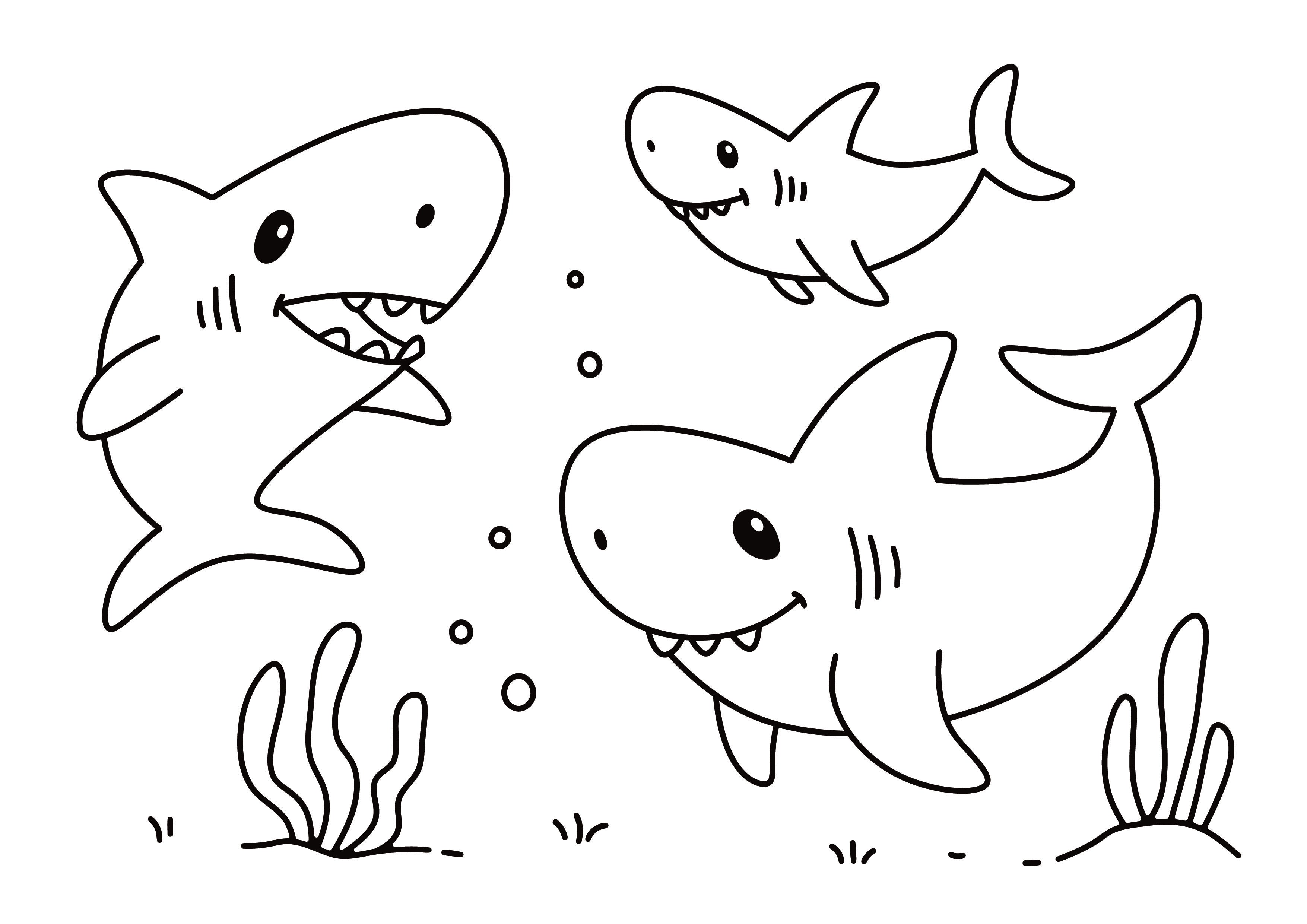 Baby Shark