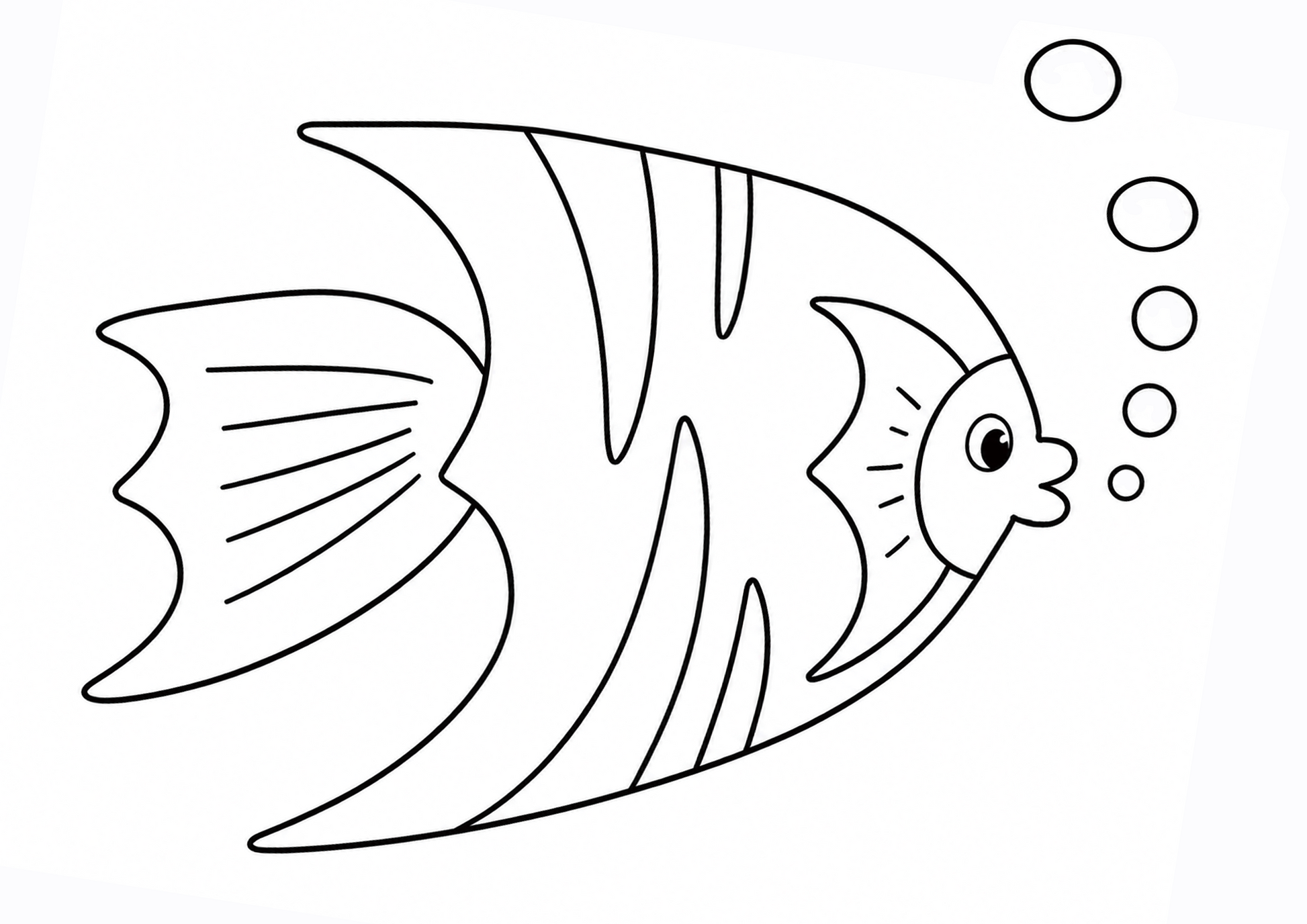 The Little Fish