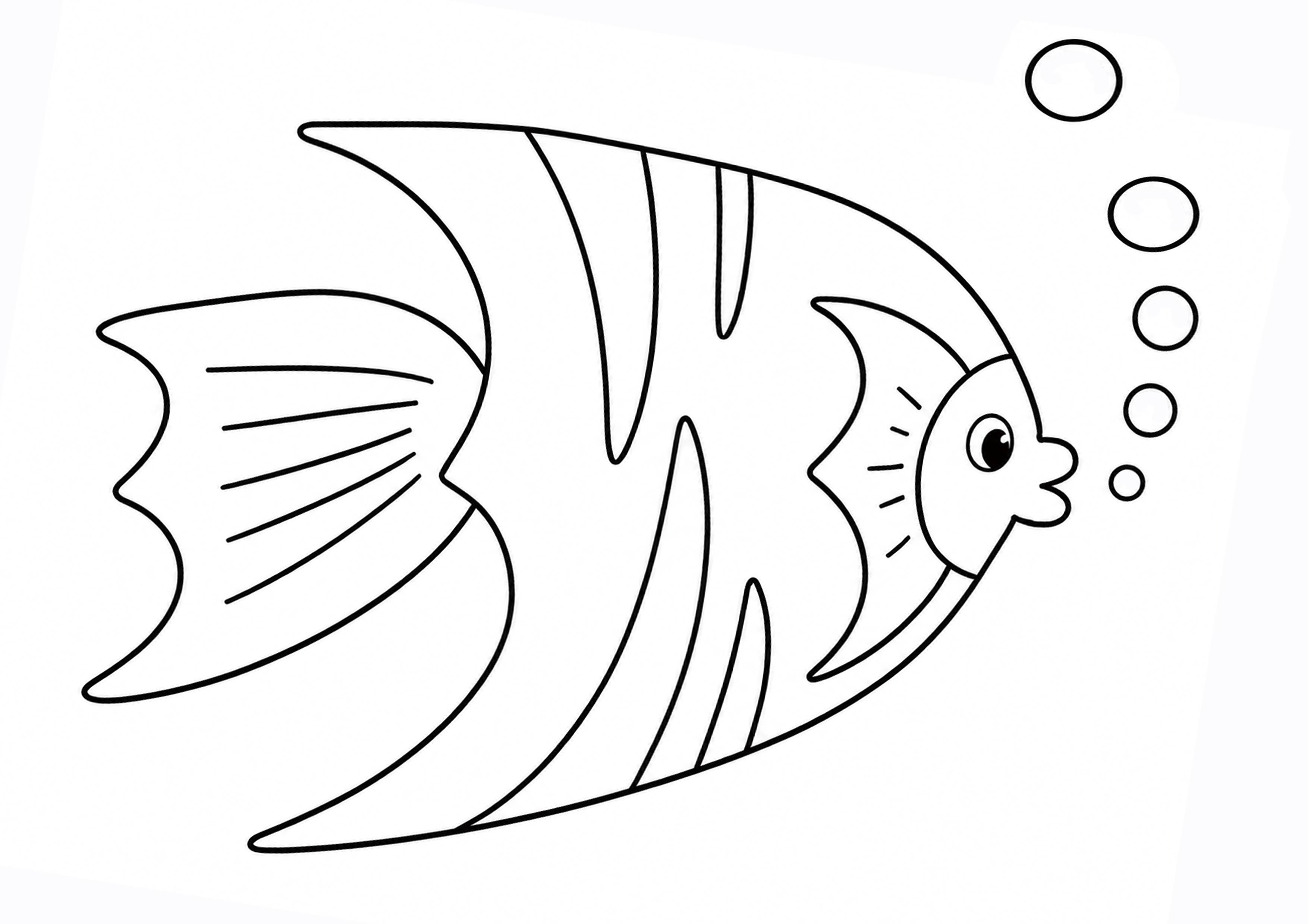The Little Fish