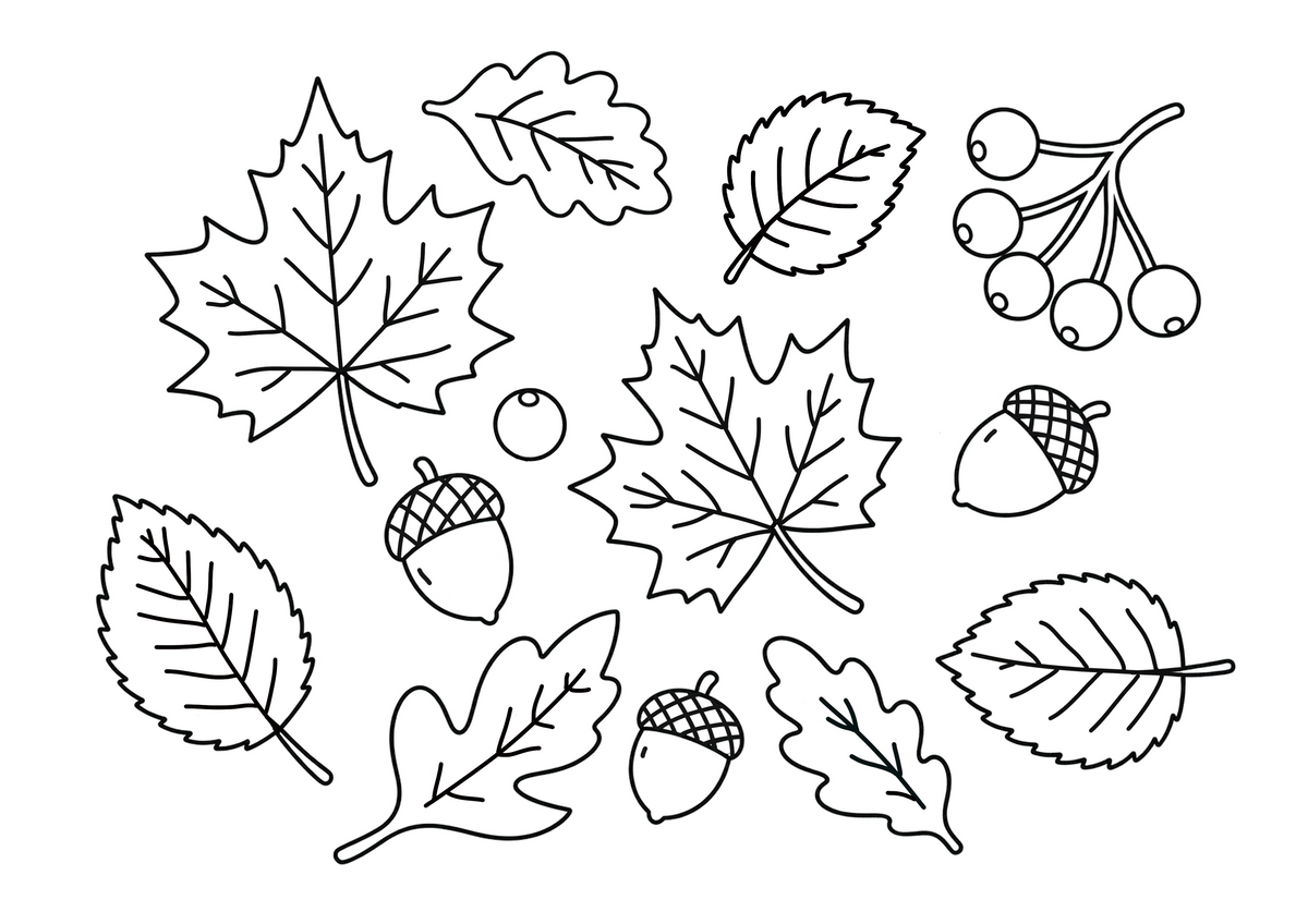 Autumn Leaves & Acorns