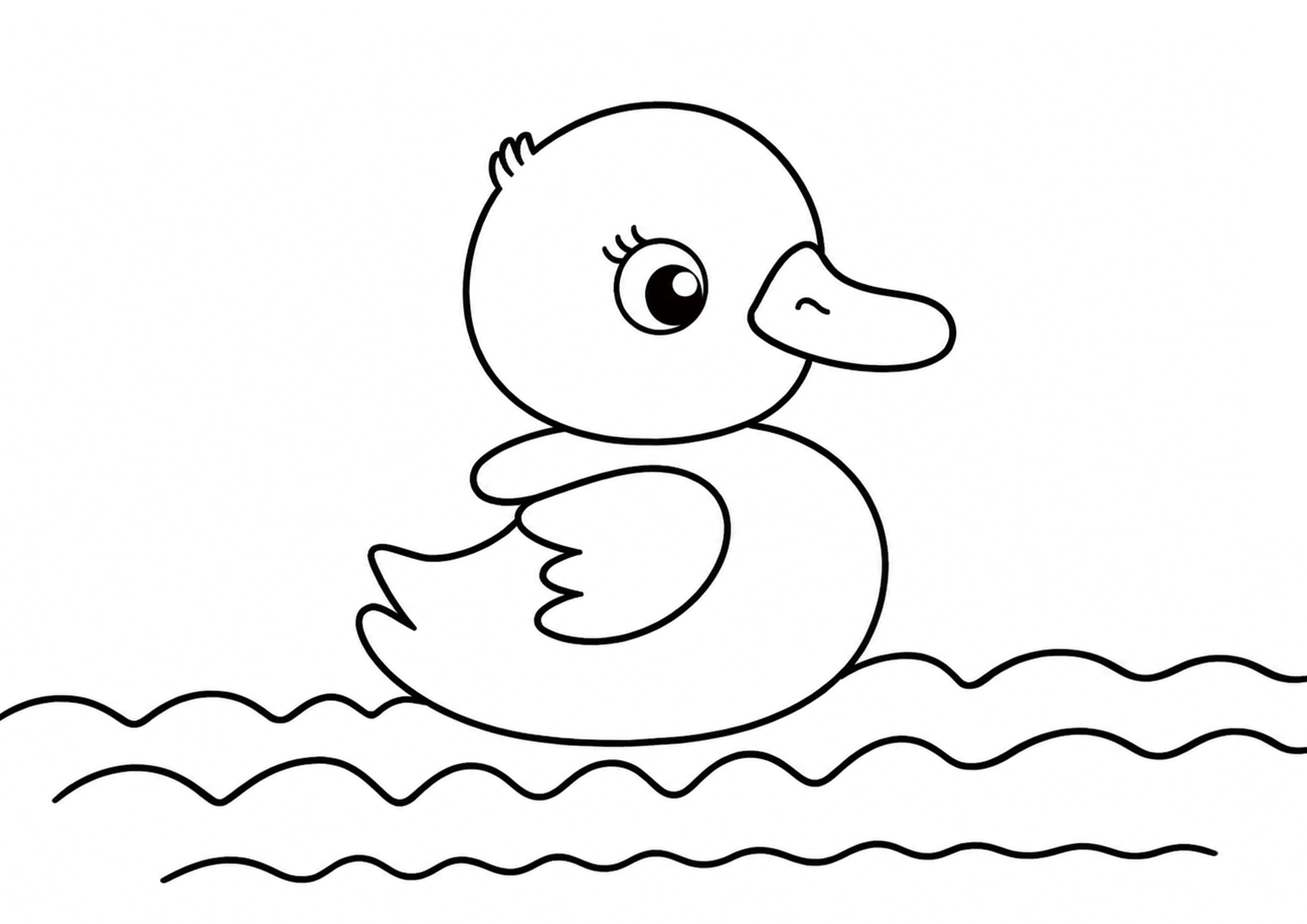 The Little Duck