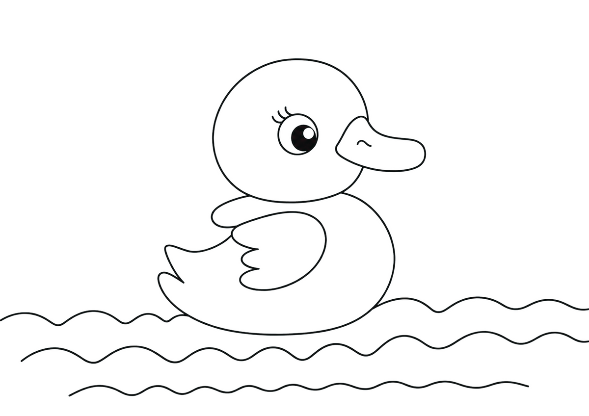 The Little Duck