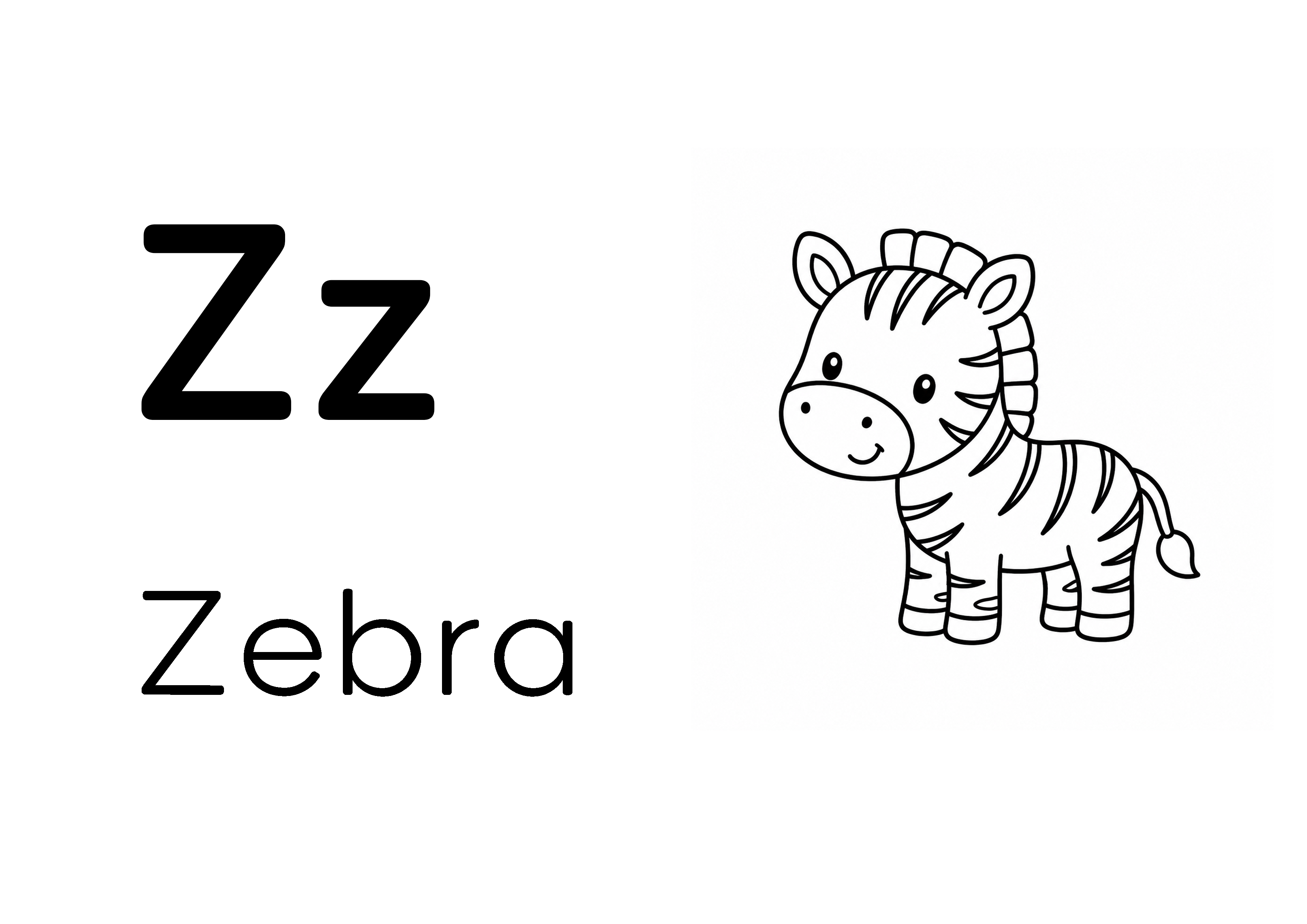 Zz - Zebra