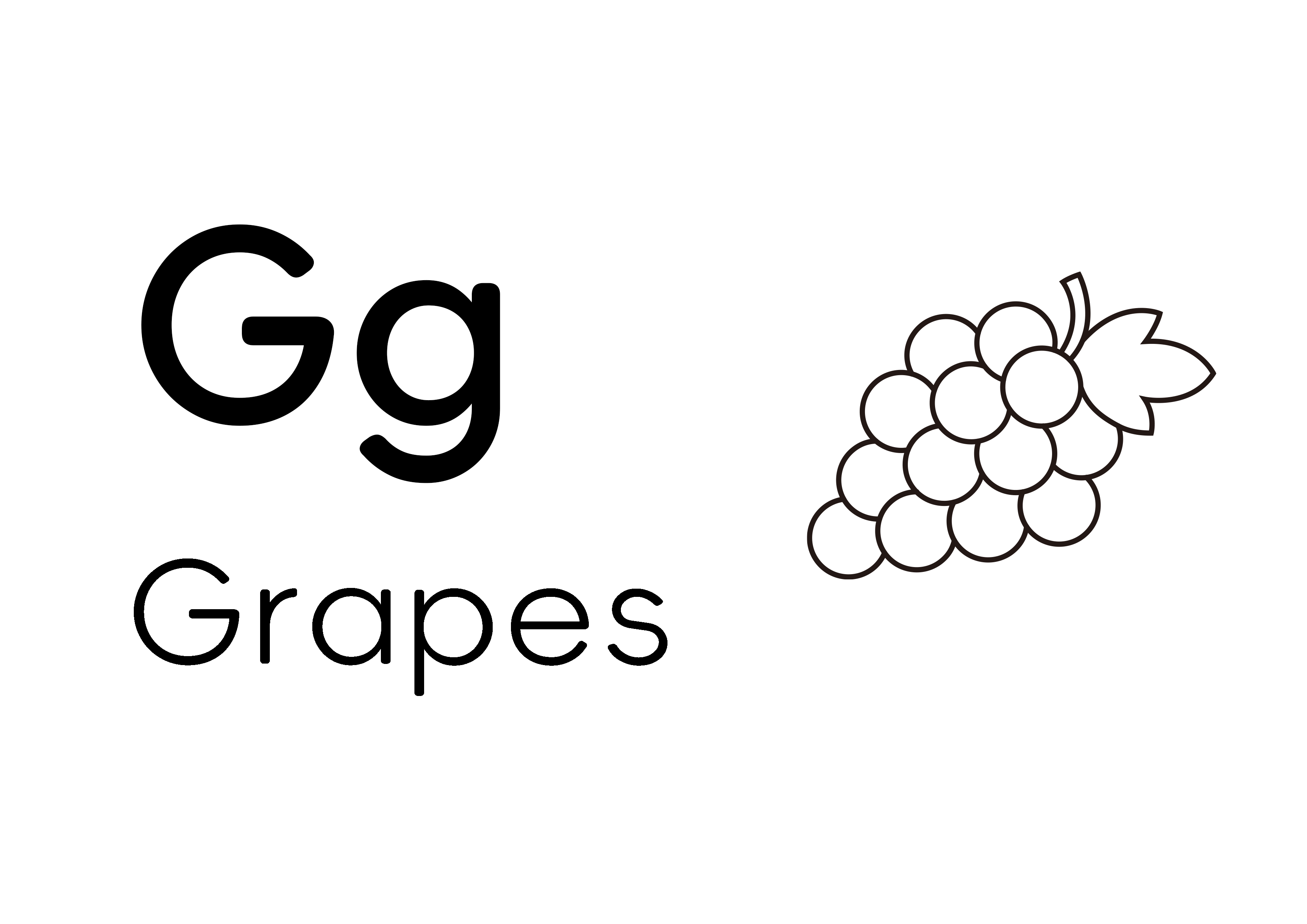 Gg - Grapes